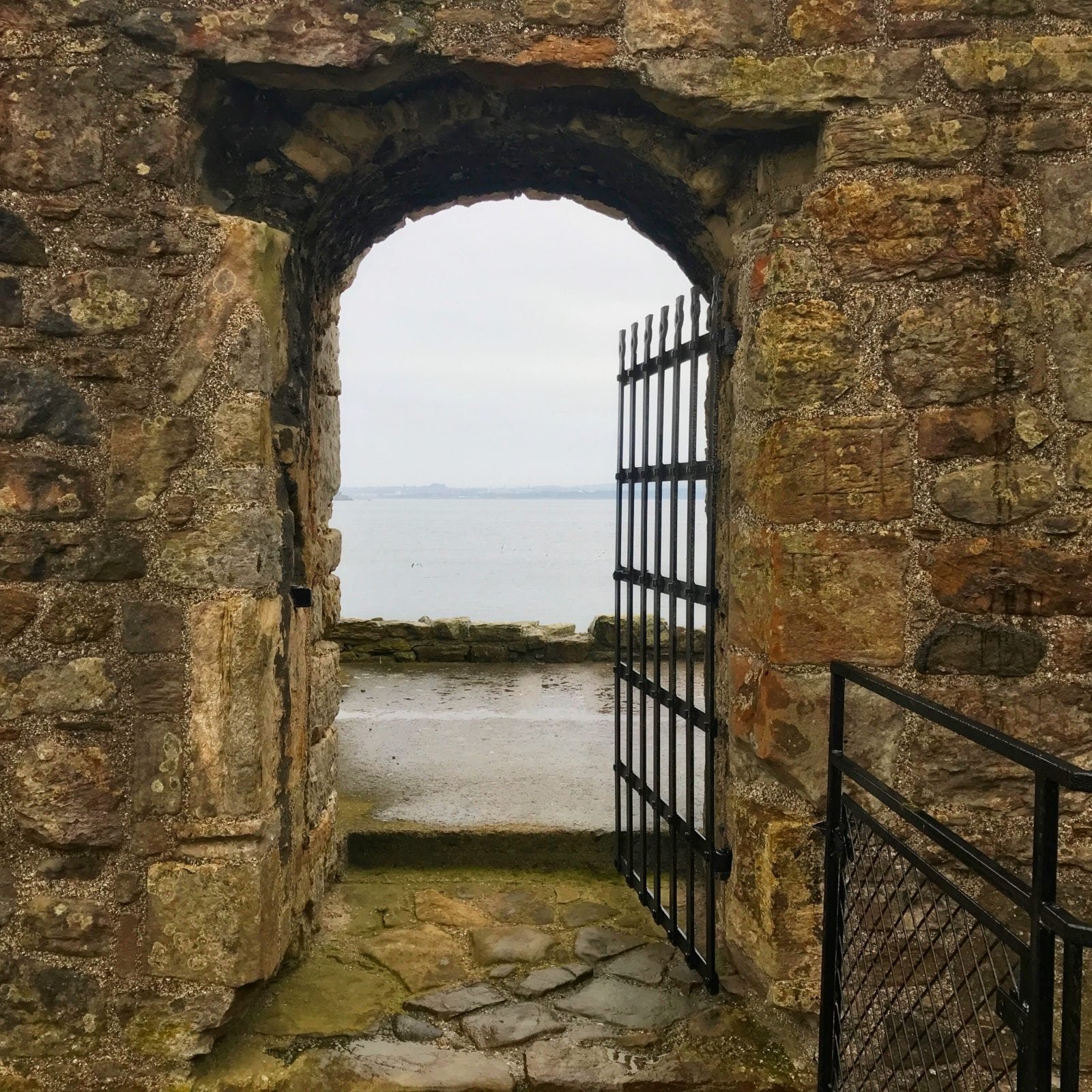 The Wonders of Inchcolm Island